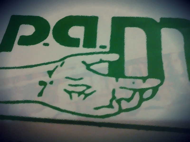 pam.jpg