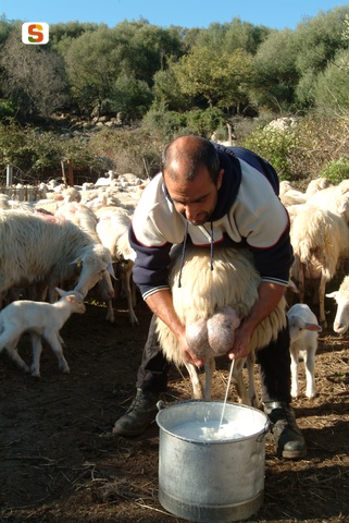 Foto Renato Brotzu