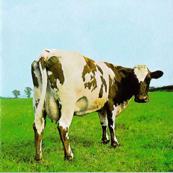 Pink Floyd, Atom heart mother