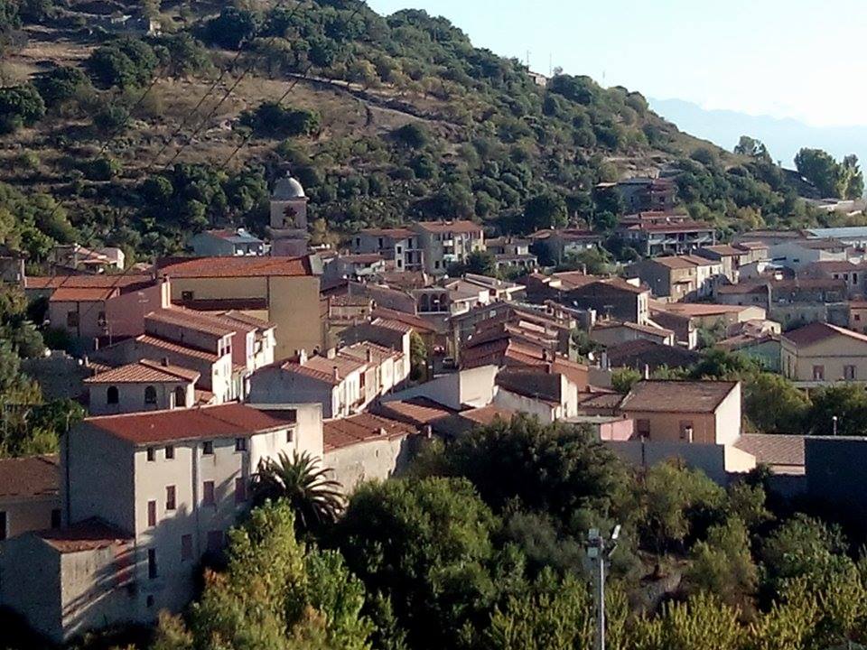 boruta16.jpg