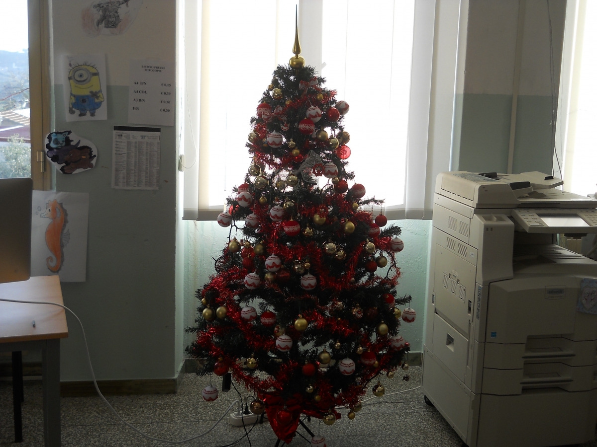 Foto-albero-di-natale.-fotgrafia-di-Antonio-Caria.jpg