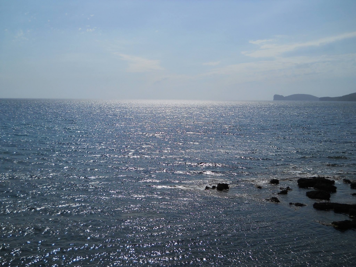 acqua.jpg