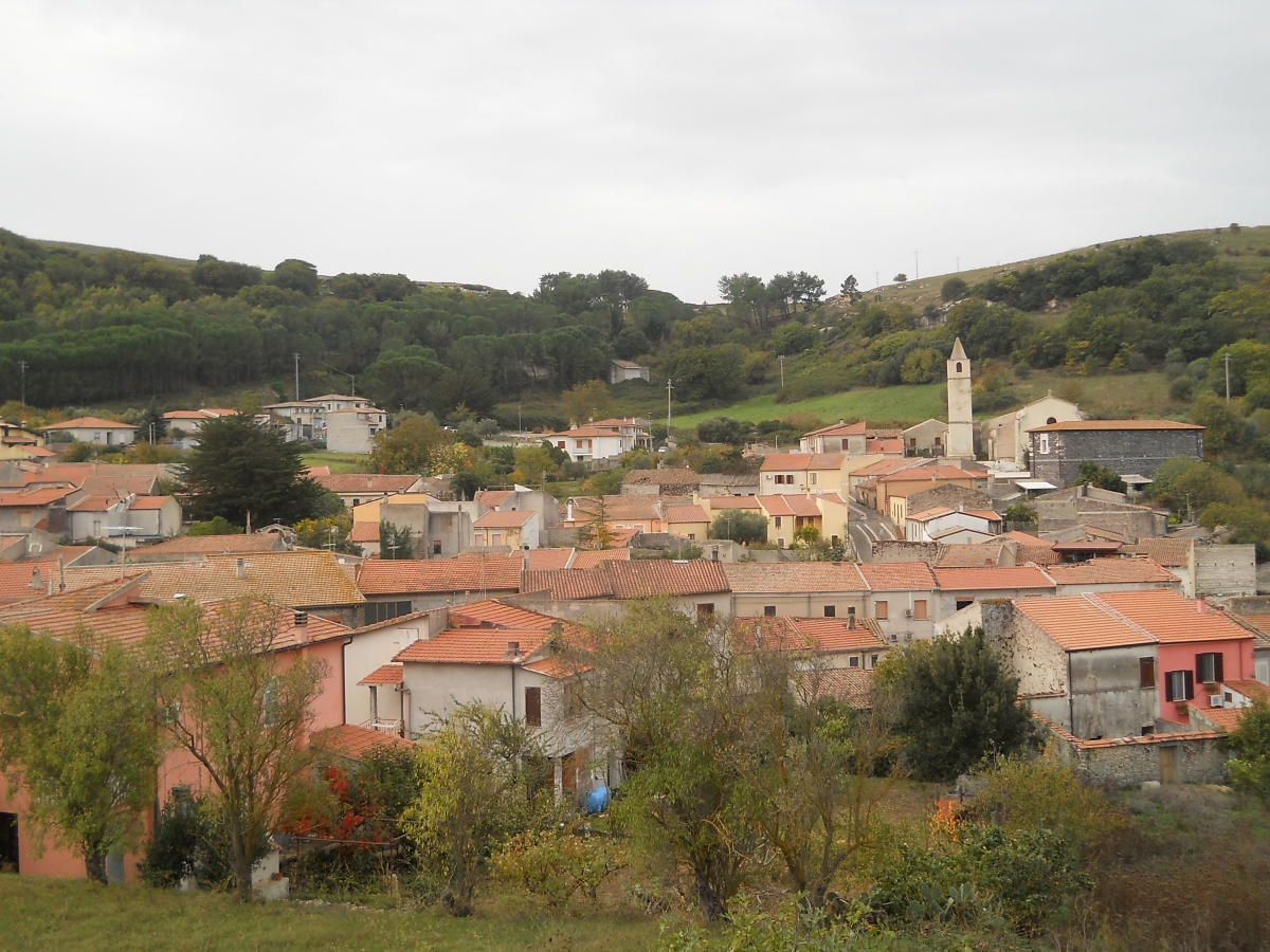 caria-foto-1-fc9e-8466.jpg