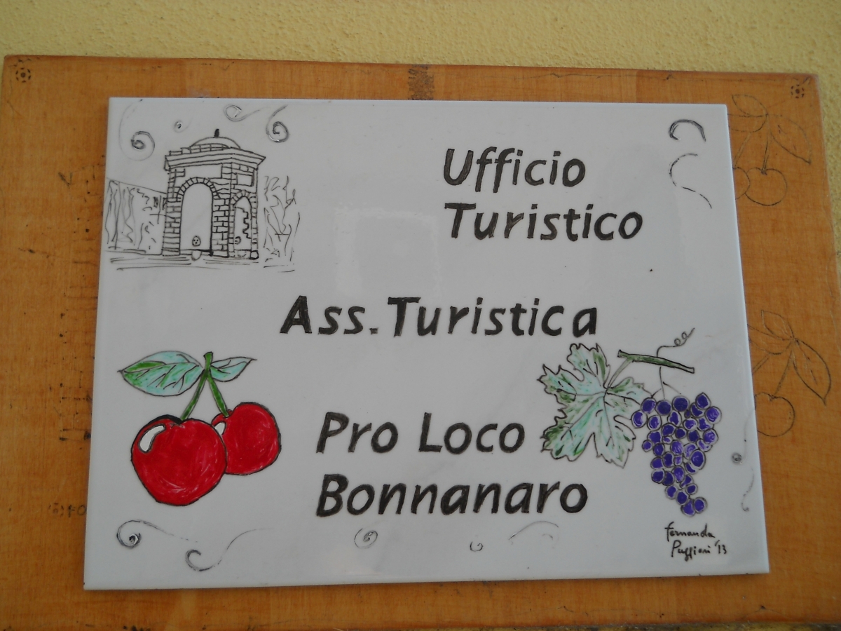 DSCN4328.JPG