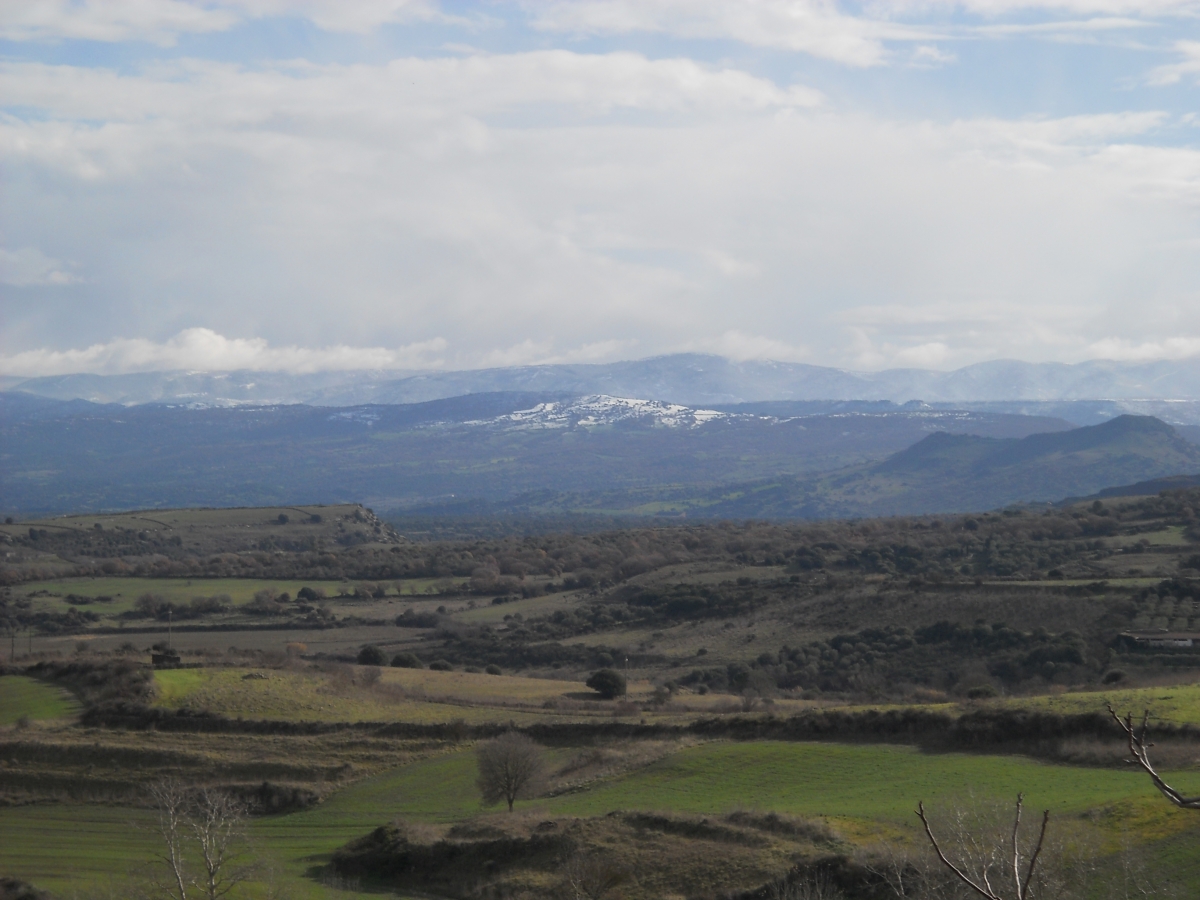 Fotografia-Antonio-Caria.JPG