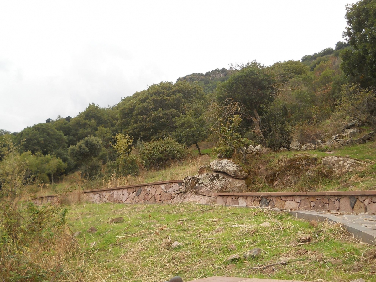 Parco-Mariani.-Fotografia-di-Antonio-Caria-6d34-a44f-52b1-2eb9.jpg