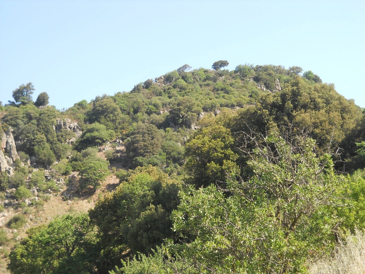 Parco-Mariani.-Fotografia-di-Antonio-Caria-6f7e-66e4.jpg