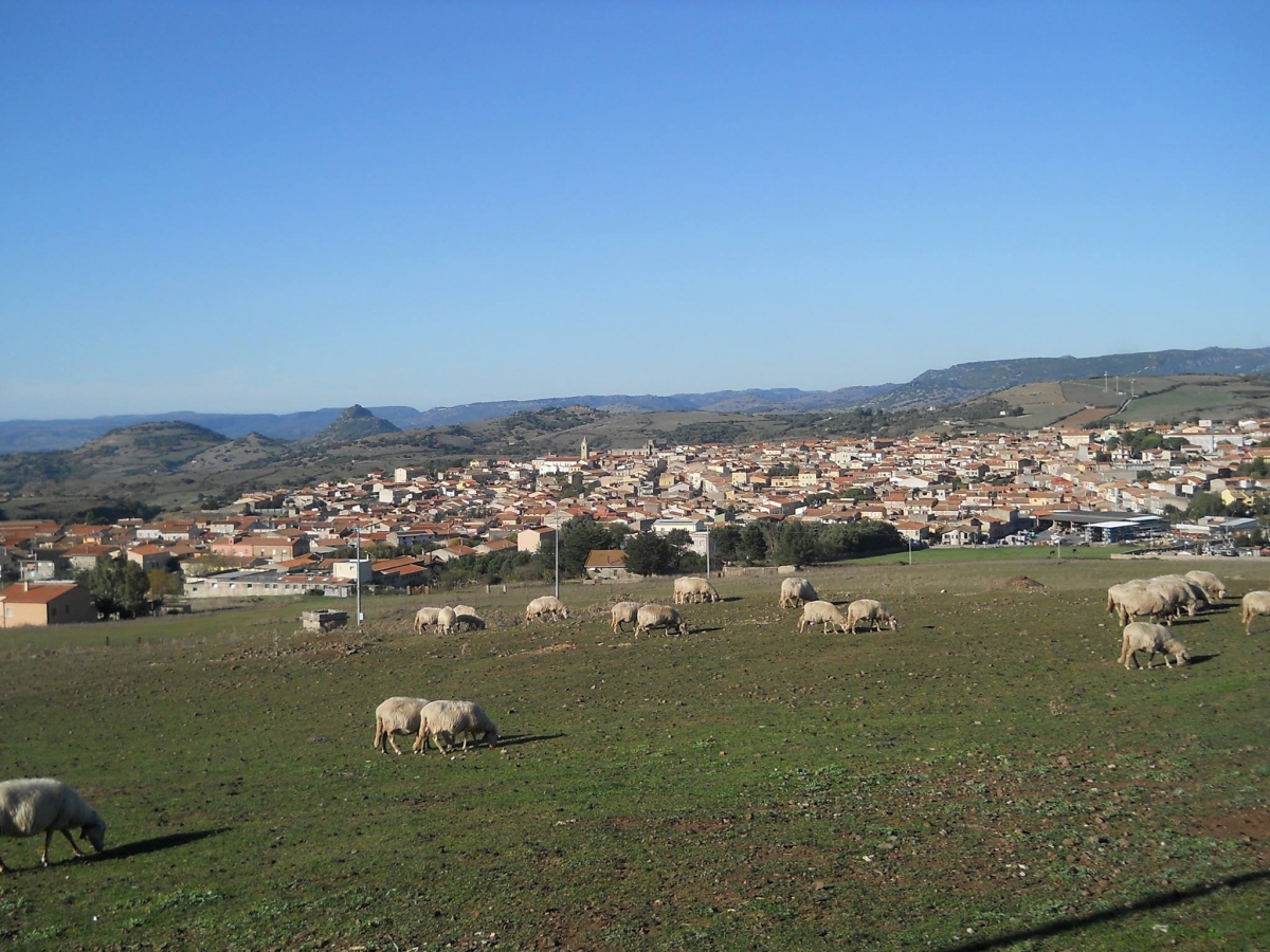 Pozzomaggiore-foto-Caria-c3f7-239e-274c-8e8d.jpg