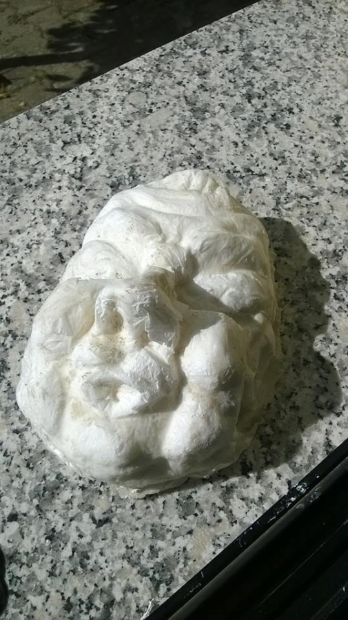 puggioni-2.jpg