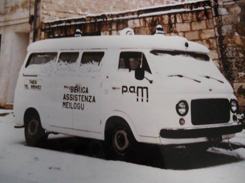 thiesi-83be.jpg