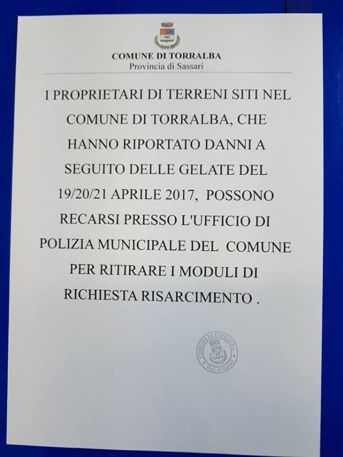 torralba-efef.jpg