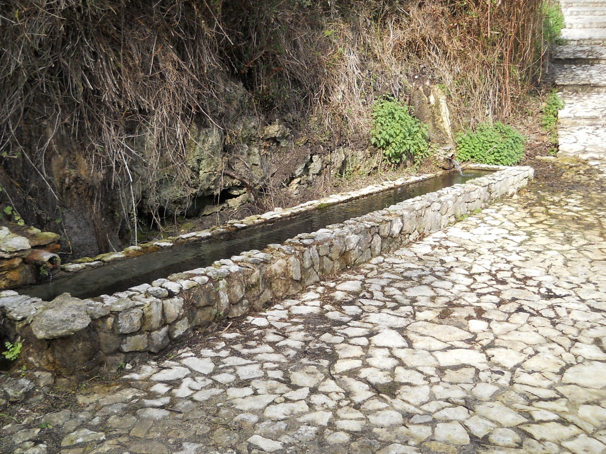 Una-delle-vasche-di-Malis.-Fotografia-di-Antonio-Caria-2648.JPG